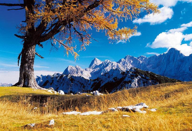 Planinska Koca Na Gozdu Ξενοδοχείο Kranjska Gora Εξωτερικό φωτογραφία